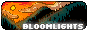 bloomlights