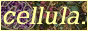 cellula