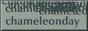 chameleonday