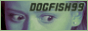 dogfish99