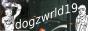 dogzwrld19