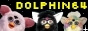 dolphin64