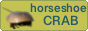 horseshoecrab