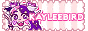 kayleebird