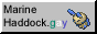 marinehaddock