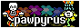 pawpyrus