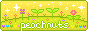 peachnuts