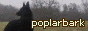 poplarbark