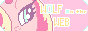 wolf-on-the-web