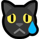 cat_crying.png