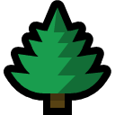 evergreen_tree.png