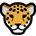 leopard.png